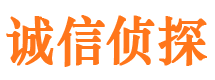 泽库侦探公司